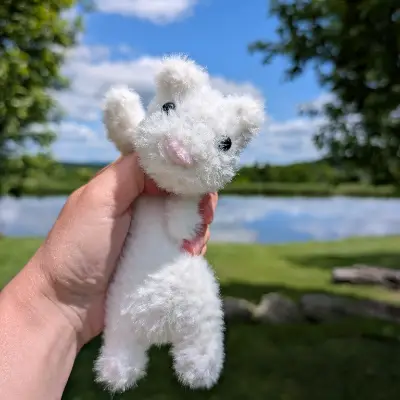 Simon The Floppy Ferret